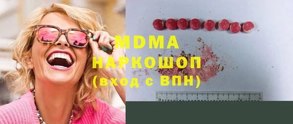 индика Алексин
