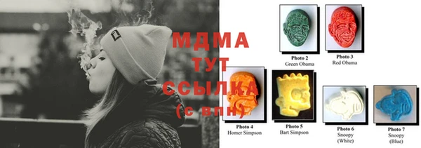 индика Алексин