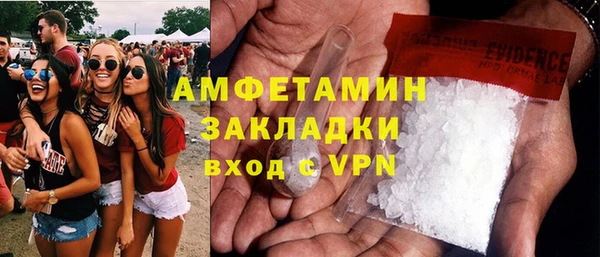 индика Алексин