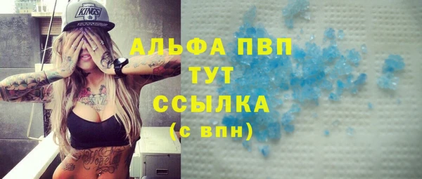индика Алексин