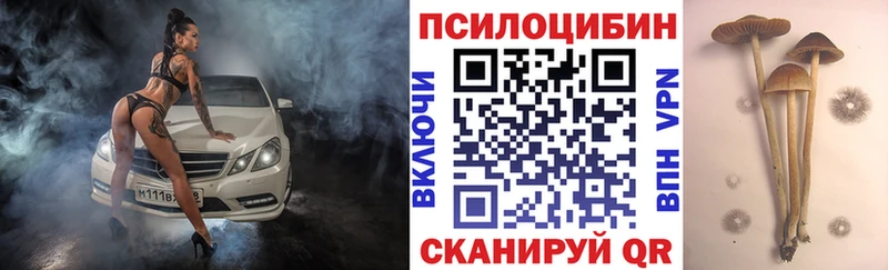 сайты даркнета Telegram Новоуральск Псилоцибиновые грибы прущие грибы наркота